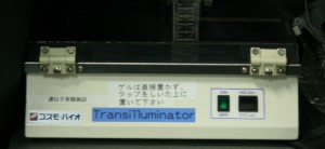 Transilluminator